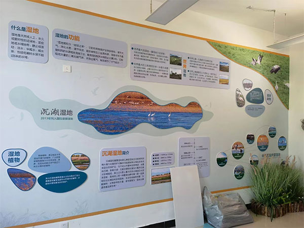 湖北沉湖濕地保護區(qū)模型